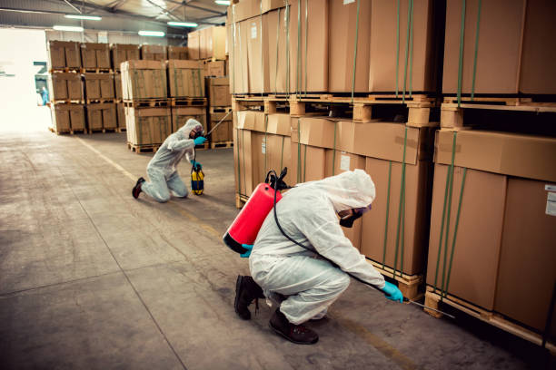 Best Insect Control  in Woodburn, OR