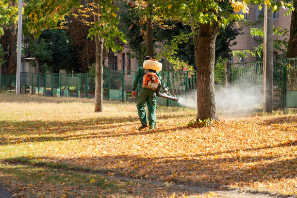 Best Rat Extermination Near Me  in Woodburn, OR