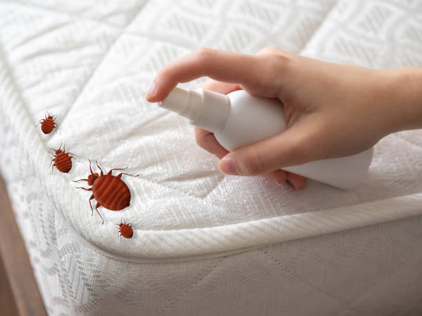 Best Residential Pest Control  in Woodburn, OR