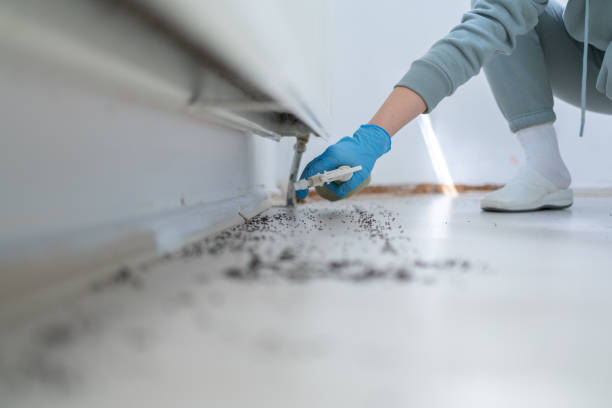 Best Residential Pest Control  in Woodburn, OR